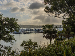 Fototapeta premium Double Bay and Rose Bay a beautiful affluent and wealthy suburb on Sydney Harbour with small beach and yachts lining the foreshores Sydney NSW Australia