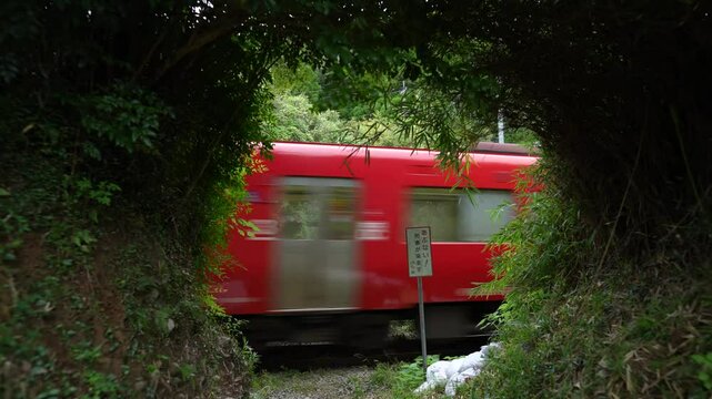 ジブリに出て来そうな緑のトンネルと通過する列車の風景