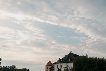 In the distance, there stands a magnificent castle, set against a backdrop of a cloudy sky that adds an enchanting touch to the scene