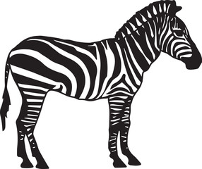 zebra vector illustration ,sticker,invitation card,t-shirt,mug,wall art,Appaerls,decoration and more