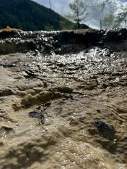 little stream in the mountains