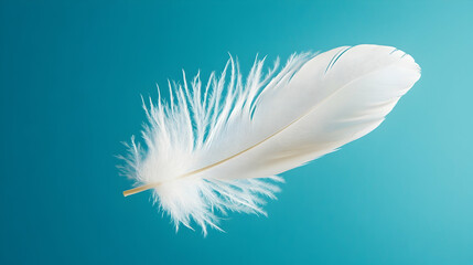White Feather Gracefully Falling Against a Blue Background in a Soft and Elegant Display  -