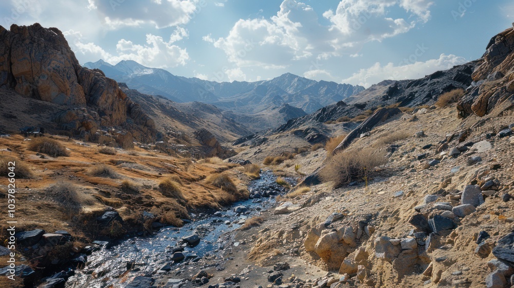 Canvas Prints Mountain Stream in the Himalayas