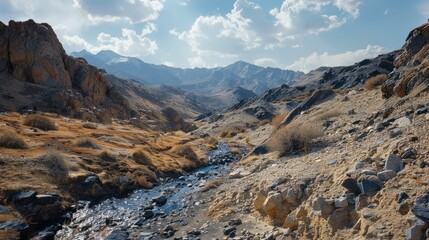 Obraz premium Mountain Stream in the Himalayas