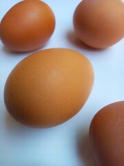 eggs on a white background