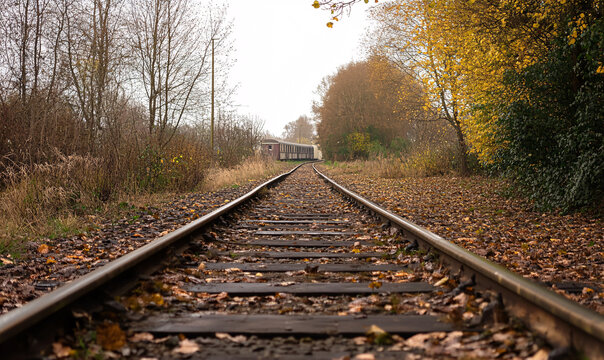 railroad tracks in autumn-generative ai