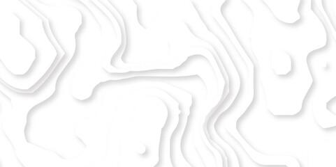 Abstract wavy line 3d paper cut white background. Topographic canyon geometric map relief texture with curved layers and shadow. Abstract realistic papercut
