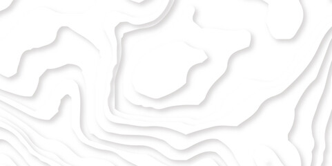 Abstract wavy line 3d paper cut white background. Topographic canyon geometric map relief texture with curved layers and shadow. Abstract realistic papercut