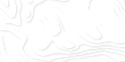 Abstract wavy line 3d paper cut white background. Topographic canyon geometric map relief texture with curved layers and shadow. Abstract realistic papercut