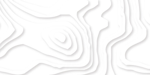 Abstract wavy line 3d paper cut white background. Topographic canyon geometric map relief texture with curved layers and shadow. Abstract realistic papercut