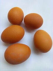 eggs on a white background
