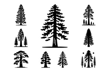 set of redwood tree silhouette silhouette . nature tree isolated - Redwood logo type  icon illustration bundle
