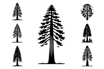 set of redwood tree silhouette silhouette . nature tree isolated - Redwood logo type  icon illustration bundle