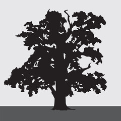 Tree silhouette isolated on white background. Vector illustration. Eps 10. For designing your designs in the style of ecology and nature