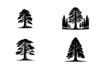 Obraz premium set of redwood tree silhouette silhouette . nature tree isolated - Redwood logo type icon illustration bundle