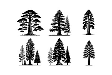 set of redwood tree silhouette silhouette . nature tree isolated - Redwood logo type  icon illustration bundle