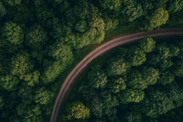 Aerial View of Winding Road Through Lush Green Forest
