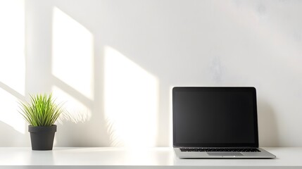 Fototapeta premium 91. Clean office desk with a laptop and small plant for a minimalist feel