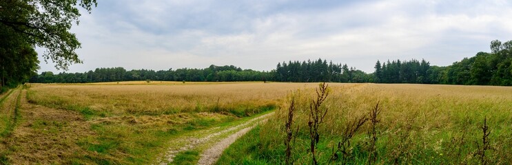 Panorama nature landscape with a crooked walking path  with a cloudy sky in Mook, Netherlands