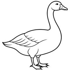 Goose