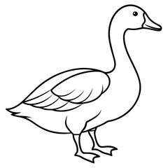 Goose