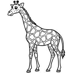 Fototapeta premium Giraffe