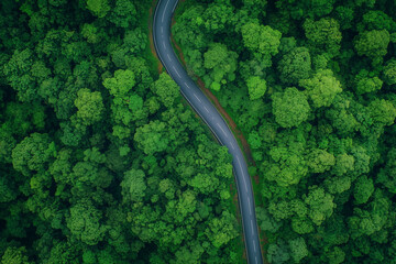 Aerial View of Winding Road Through Lush Green Forest
