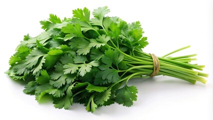 Fresh coriander bunch isolated on white background
