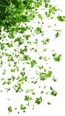 Falling parsley leaves isolated on white background fresh green herbs in motion. Generative AI