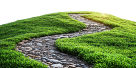 Winding asphalt path through green grass isolated on a white transparent background