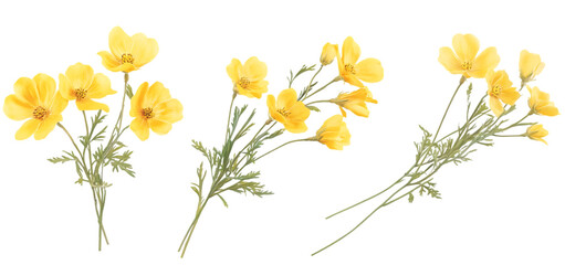 three set of A bunch of yellow flowers isolated transparent background