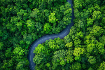 Aerial View of Winding Road Through Lush Green Forest