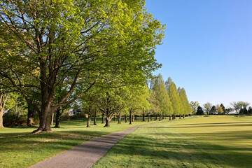 Obraz premium Scenery of a golf course at a country club in Wilmington Delaware in spring