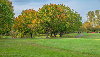 Naklejka premium Seasonal changes in Blue Lake park Oregon state.