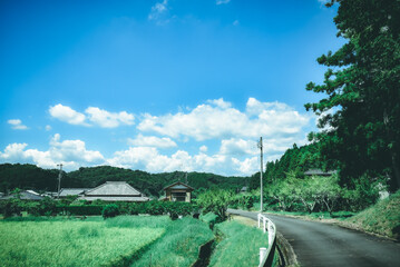 日本の夏の風景