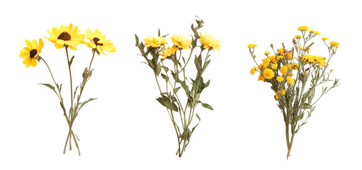 three set of A bunch of yellow flowers isolated transparent background
