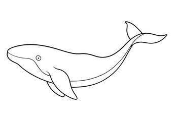 One Line Drawing of a Whale – Ocean-Inspired Minimalist Vecto