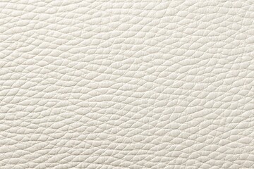 Obraz premium white fine leather texture for background Macro