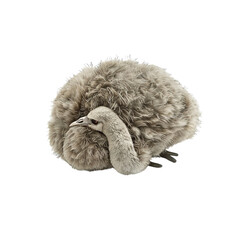 Fluffy Baby Ostrich Hiding its Head in Feathers