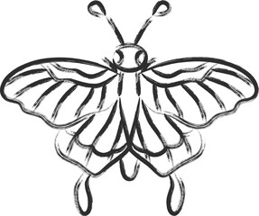 筆書きミニ昆虫の単品アイコン　蝶