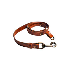 Obraz premium Brown Leather Dog Leash with Brass Hardware