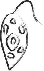 筆書き微生物単品アイコン　ミドリムシ