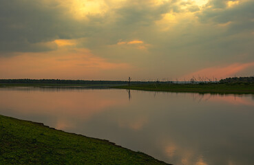 A forest landscape unfolds with towering trees, dappled sunlight filtering through leaves, rich undergrowth, winding trails, vibrant wildlife calls, and a serene, timeless natural ambiance.