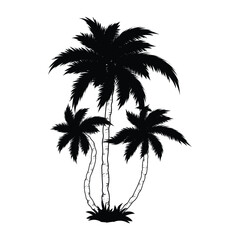 Fototapeta premium silhouette of palm tree, silhouettes of palm trees, palm tree silhouette vector illustration