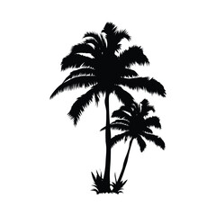 silhouette of palm tree, silhouettes of palm trees, palm tree silhouette vector illustration