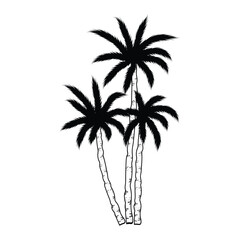 Obraz premium silhouette of palm tree, silhouettes of palm trees, palm tree silhouette vector illustration