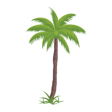 recommend clip art: palm tree,  colored palm trees, palm tree silhouette vector illustration