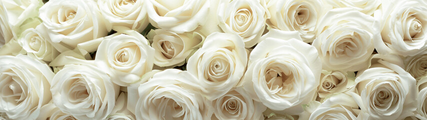 Flat background with lush bouquet of white roses in full bloom. Banner or header
