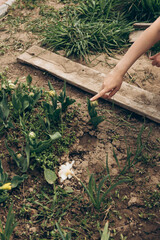 A person is clearly pointing at a beautiful plant that is growing in a vibrant garden filled with other lush greenery and flowers
