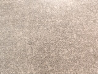 Fototapeta premium Greyish cream texture on the wall 